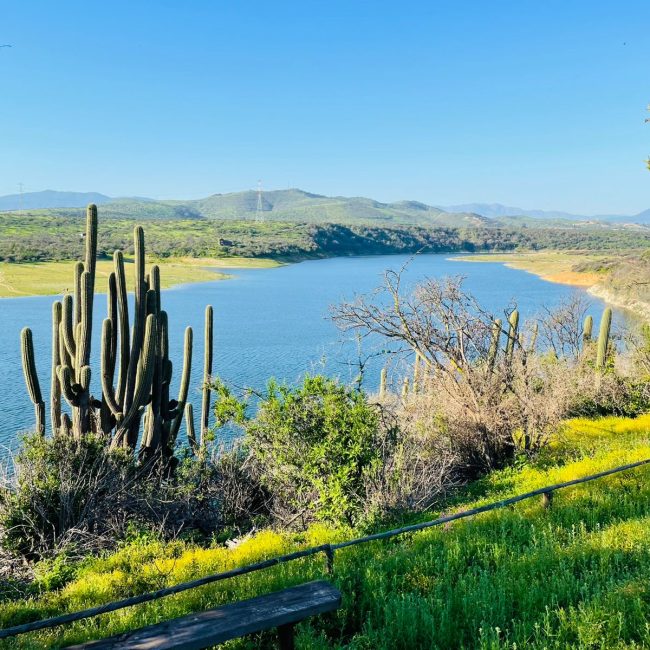 WhatsApp Image 2022-10-04 at 5.12.44 PM